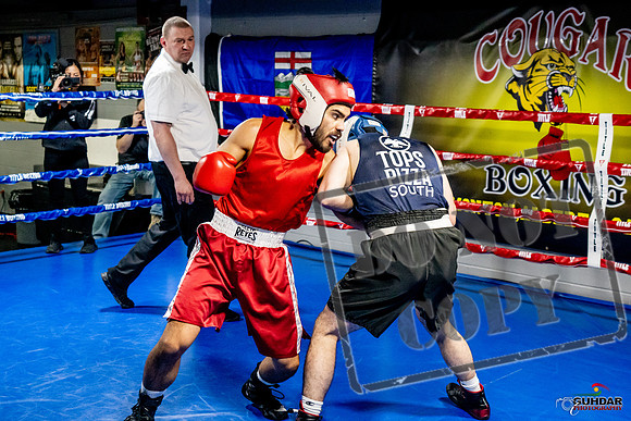 Cougar Boxing Basement Brawl -0369