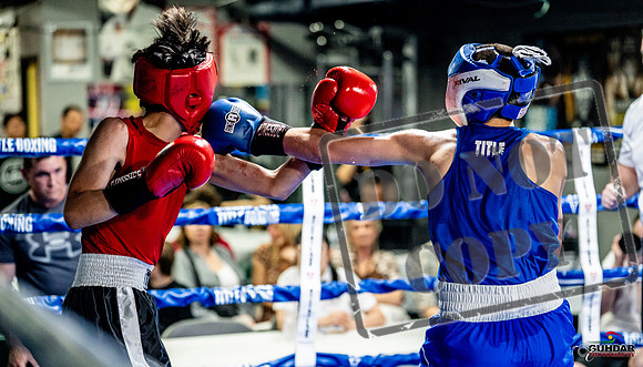 Cougar boxing June 7th 2025-0693