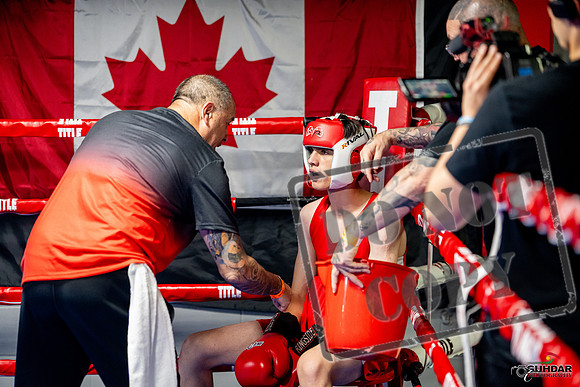 Cougar boxing June 7th 2025-0889