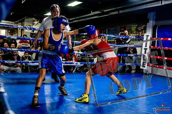 Cougar Boxing Basement Brawl -0231