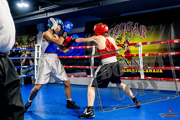 Cougar Boxing Basement Brawl -0148