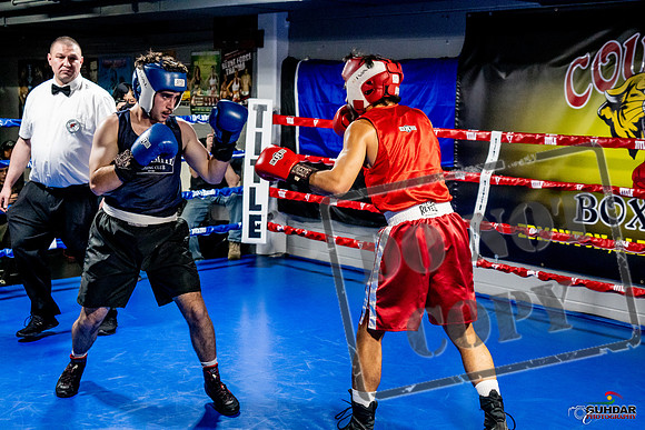Cougar Boxing Basement Brawl -0387