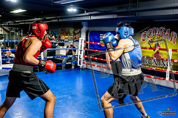 Cougar Boxing Basement Brawl -0664