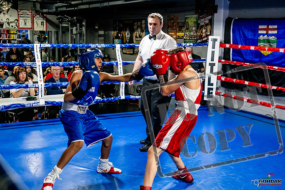 Cougar Boxing Basement Brawl -0341