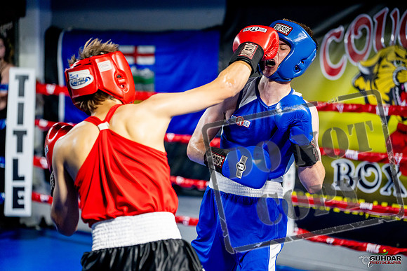 Cougar boxing June 7th 2025-0850