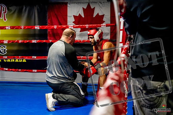 Cougar Boxing Basement Brawl -0408