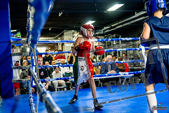 Cougar Boxing Basement Brawl -0051