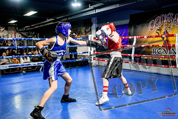 Cougar Boxing Basement Brawl -0004