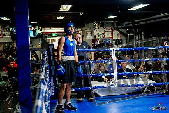 Cougar Boxing Basement Brawl -0651