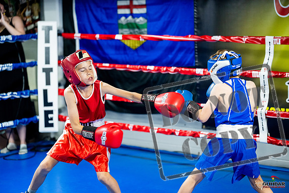 Cougar boxing June 7th 2025-0015