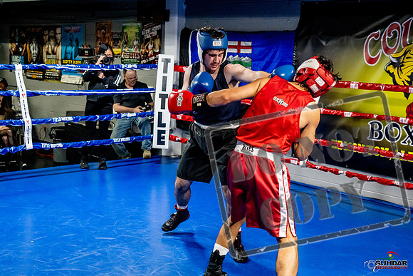 Cougar Boxing Basement Brawl -0429