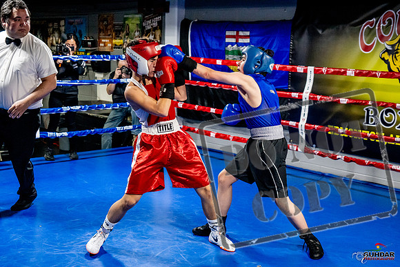Cougar Boxing Basement Brawl -0492