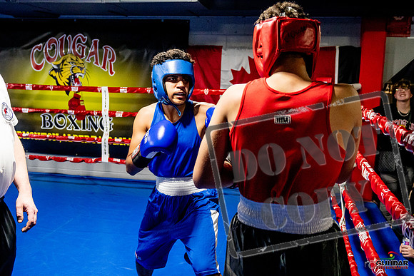 Cougar Boxing Basement Brawl -0638
