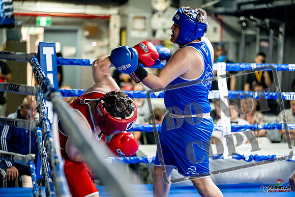 Cougar boxing June 7th 2025-0718