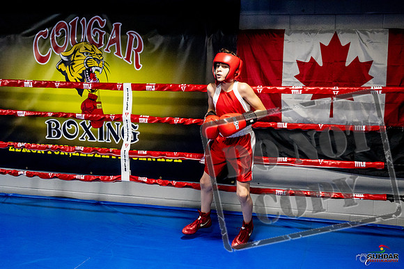 Cougar Boxing Basement Brawl -0314