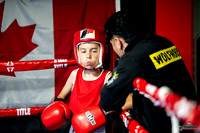 Cougar boxing June 7th 2025-0008