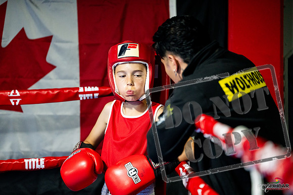 Cougar boxing June 7th 2025-0008