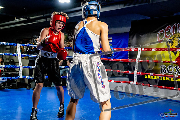 Cougar Boxing Basement Brawl -0166