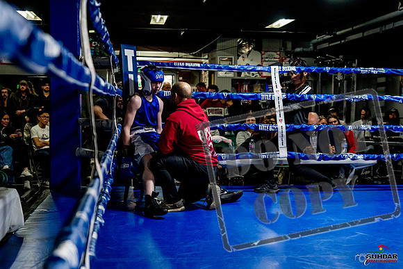 Cougar Boxing Basement Brawl -0200