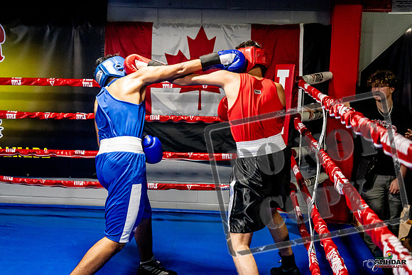 Cougar Boxing Basement Brawl -0627