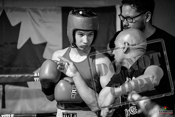 Cougar boxing June 7th 2025-0789