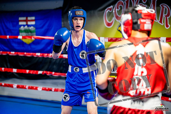 Cougar boxing June 7th 2025-0136