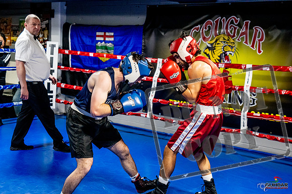 Cougar Boxing Basement Brawl -0393