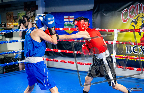 Cougar boxing June 7th 2025-0683
