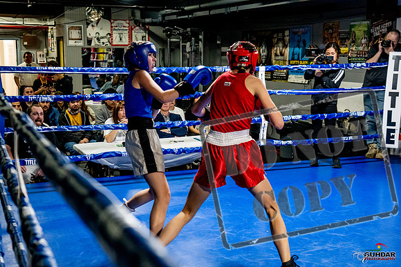 Cougar Boxing Basement Brawl -0588