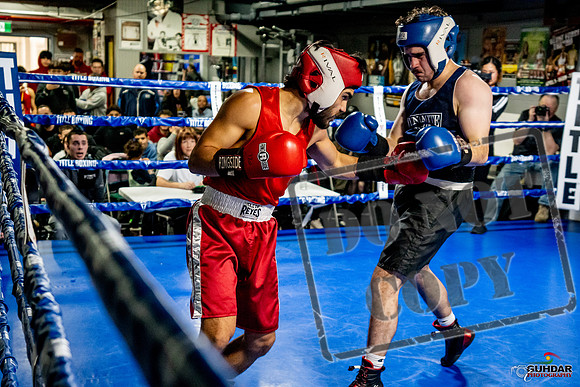 Cougar Boxing Basement Brawl -0368