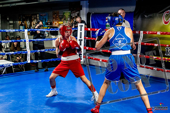 Cougar Boxing Basement Brawl -0463