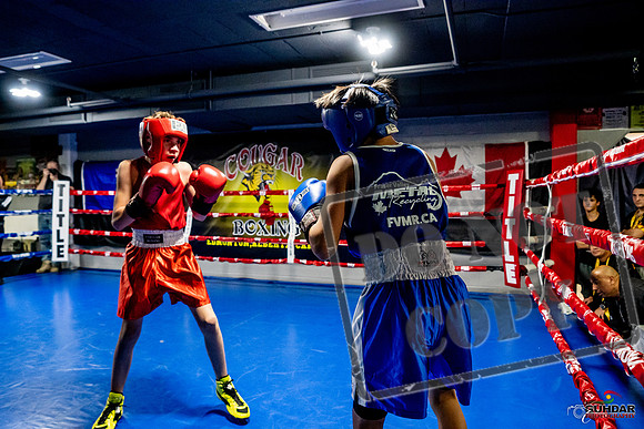 Cougar Boxing Basement Brawl -0243