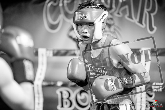 Cougar boxing June 7th 2025-0121