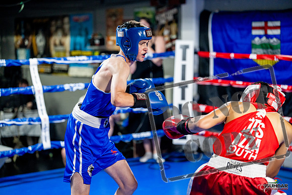 Cougar boxing June 7th 2025-0118