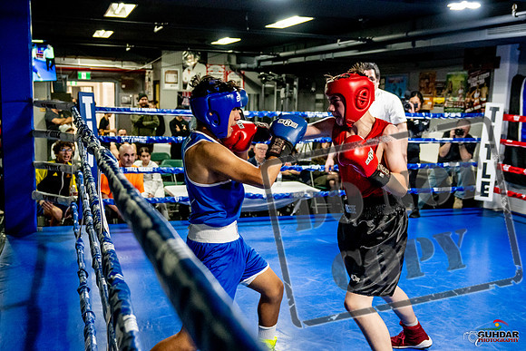 Cougar Boxing Basement Brawl -0529