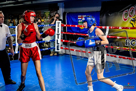 Cougar Boxing Basement Brawl -0590