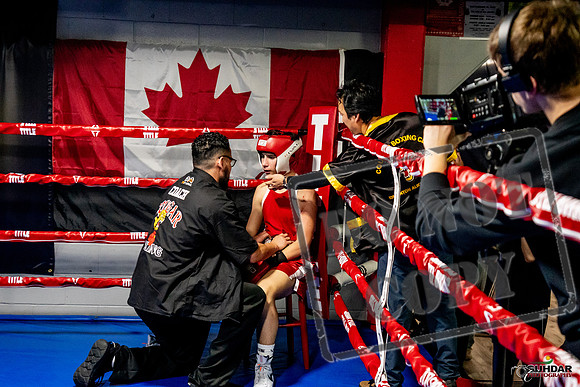 Cougar Boxing Basement Brawl -0488