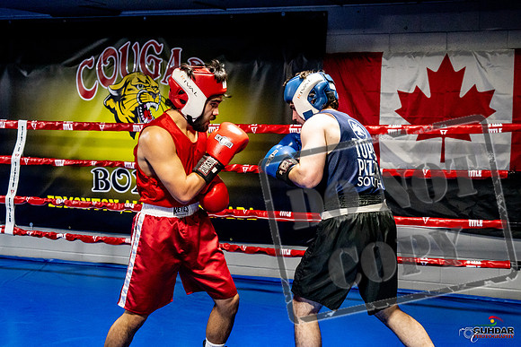 Cougar Boxing Basement Brawl -0400