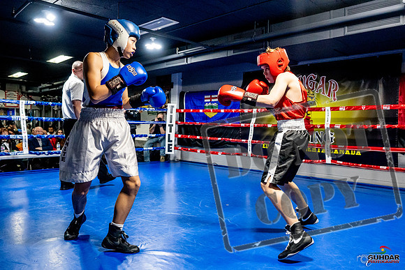 Cougar Boxing Basement Brawl -0143