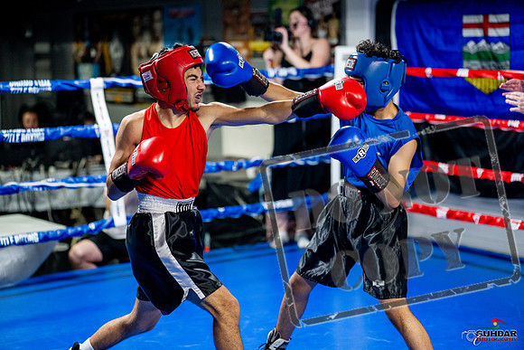 Cougar boxing June 7th 2025-0195