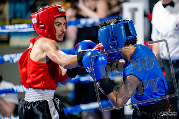 Cougar boxing June 7th 2025-0177
