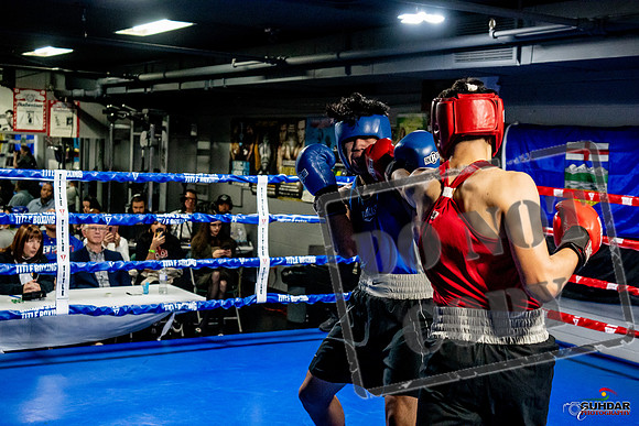 Cougar Boxing Basement Brawl -0676