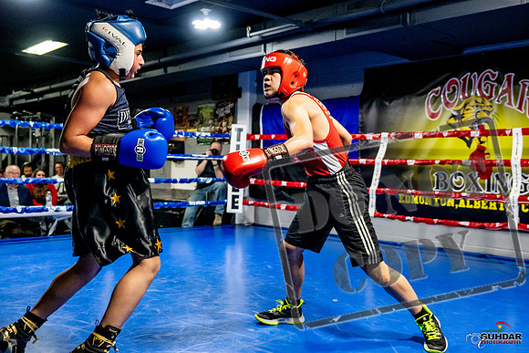 Cougar Boxing Basement Brawl -0295
