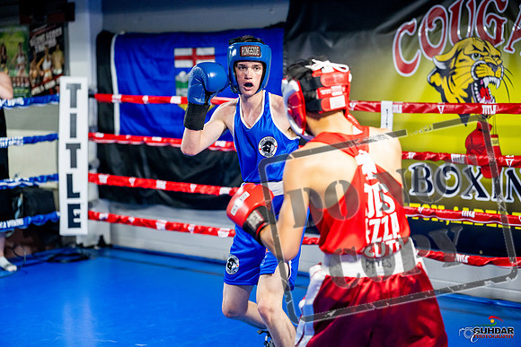 Cougar boxing June 7th 2025-0142