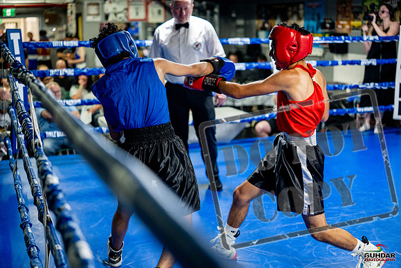 Cougar boxing June 7th 2025-0208