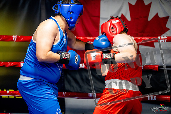 Cougar boxing June 7th 2025-0769