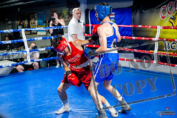 Cougar boxing June 7th 2025-0145