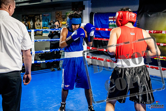 Cougar Boxing Basement Brawl -0620