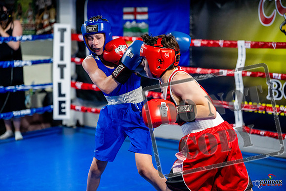 Cougar boxing June 7th 2025-0550