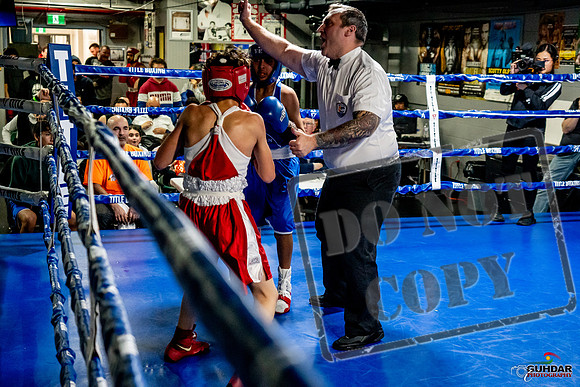 Cougar Boxing Basement Brawl -0348